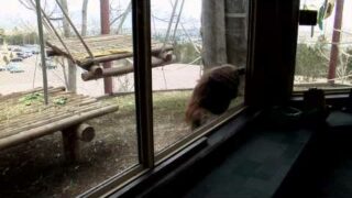 Cheyenne Mountain Zoo encourages the use of sustainable palm oil